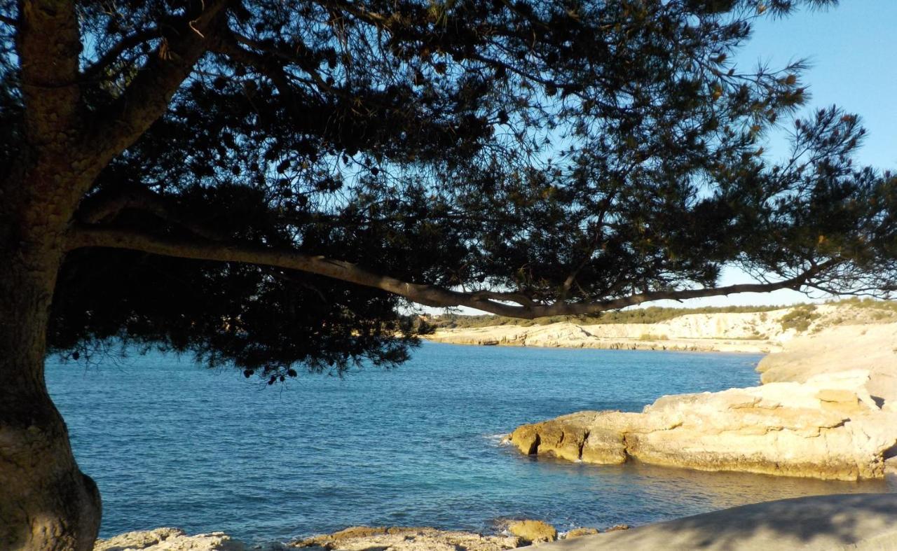 Les Lauriers Villa Sausset-les-Pins Exteriör bild